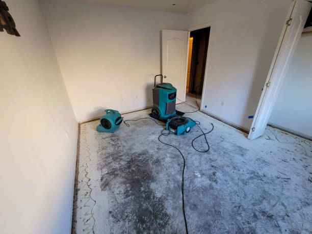 Best Fire Damage Restoration  in Mississippi State, MS